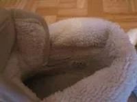 Лот: 3801107. Фото: 3. Кеды Zara. Дети растут