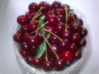 Лот: 5588680. Фото: 2. Вишня степная (кустовая, на ножке... Семена, рассада, садовые растения