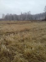 Лот: 5294803. Фото: 2. Земельный участок. Продажа