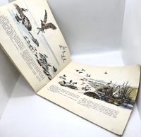 Лот: 25268877. Фото: 3. 📘 Виталий Бианки. Наши птицы... Литература, книги