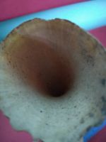 Лот: 15564498. Фото: 5. Зуб кашалота, вес 150 гр.