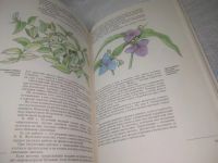Лот: 25798053. Фото: 7. озю,вбр(00-0440)Путешествие с...