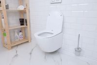 Лот: 25354104. Фото: 6. Унитаз подвесной ALCORA Tierra