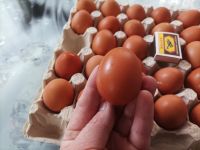 Лот: 22176660. Фото: 2. Яйцо куриное домашнее. Продукты