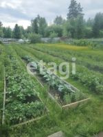 Лот: 25287364. Фото: 10. 2-комн. дача , садоводческое некоммерческое...