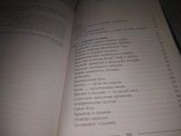 Лот: 24374325. Фото: 5. (3092327)Лапшинов Д.М. Звук безмолвия...