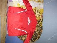 Лот: 576087. Фото: 2. ПРодам пухан adidas. Мужская одежда