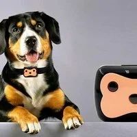 Лот: 6792847. Фото: 3. GPS ошейник Smart Pet Tracker... Растения и животные