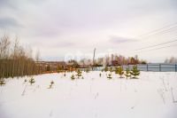 Лот: 25294810. Фото: 5. участок , ДНТ Чёрная Сопка ДНТ...