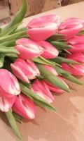 Лот: 9154571. Фото: 5. Шикарные тюльпаны мелким оптом...