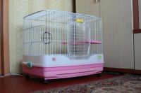 Лот: 6604098. Фото: 3. Клетка. Растения и животные