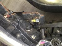 Лот: 8931002. Фото: 5. Toyota Wish #10 nosecut ноускат...