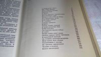 Лот: 8362248. Фото: 3. Судьба рабочего, Иван Гудов, Воспоминания... Красноярск