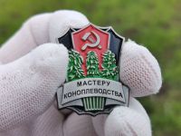 Лот: 25521533. Фото: 2. Значок Мастеру коноплеводства... Значки, медали, жетоны