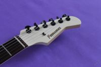 Лот: 5690070. Фото: 3. Видео Fernandes SFR - 512 Made... Музыкальные инструменты и оборудование