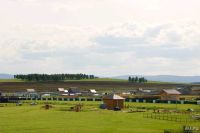 Лот: 4296453. Фото: 4. Участок 15 соток. Красноярск