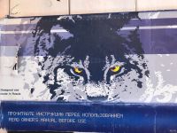 Лот: 13873329. Фото: 4. Продам пневматическую Винтовку... Красноярск