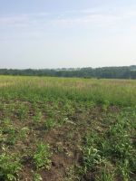 Лот: 11780992. Фото: 2. Участок 4 га возле совхоза Сибиряк. Продажа