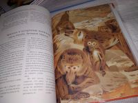 Лот: 15147265. Фото: 6. Африка, О. Дуан, серия "Мифы и...