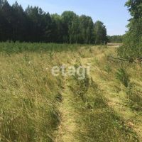 Лот: 25290525. Фото: 2. участок , Красноярск Красноярск... Продажа