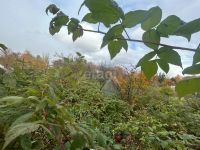 Лот: 25291842. Фото: 6. 1-комн. дача , садоводческое некоммерческое...