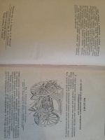 Лот: 17666416. Фото: 3. Книга "Устройство автомобиля... Коллекционирование, моделизм