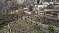 Лот: 19326043. Фото: 4. Участок. Красноярск