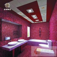 Лот: 3443245. Фото: 12. Осветительный модуль для потолки...