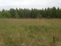 Лот: 9912472. Фото: 5. Участок ИЖС продам или поменяю...