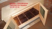 Лот: 9478628. Фото: 6. Брудер – трансформер для птицы...
