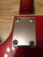 Лот: 3513788. Фото: 5. Fresher Les Paul