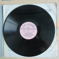 Лот: 22396351. Фото: 2. Пластинка LP / гигант ВИА Диэло... Коллекционирование, моделизм