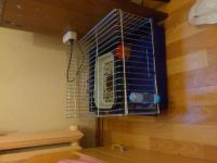 Лот: 4518396. Фото: 4. кролик. Красноярск