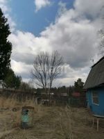 Лот: 25290640. Фото: 7. 2-комн. дача , СНТ Родничок СНТ...