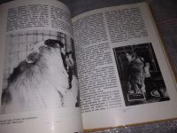 Лот: 6578498. Фото: 20. На арене и вокруг нее, Ирина Бугримова...