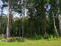 Лот: 11758333. Фото: 3. земельный участок п. Минино Новый... Недвижимость