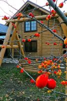 Лот: 9711215. Фото: 8. Коттедж "Мана-Хаски" Манский плес...