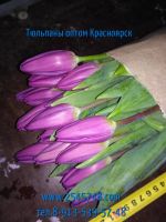 Лот: 1503331. Фото: 11. Шикарные тюльпаны EXTRA+ оптом...