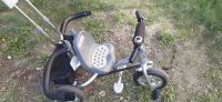 Лот: 16066000. Фото: 2. Велосипед трехколесный Trike