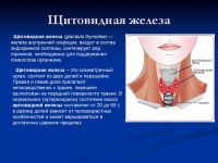 Лот: 20303283. Фото: 2. Травяной сбор "Помощь щитовидке... Продукты