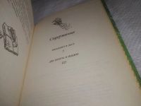 Лот: 25208216. Фото: 16. оз..вб..(00-13) серия Замок Чудес...