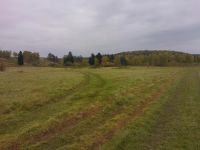 Лот: 5491318. Фото: 2. участок д. Крутая 15 соток. Продажа