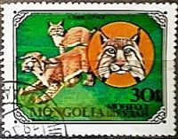 Лот: 12954022. Фото: 4. Марки Фауна. Монголия. Породы...