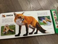 Лот: 24330065. Фото: 2. Книга животные леса. Игрушки