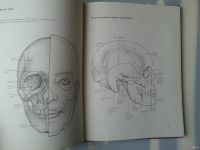 Лот: 15578504. Фото: 3. Техника рисования головы человека... Литература, книги