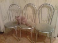 Лот: 1621111. Фото: 2. Стулья и стол. Кухонная мебель