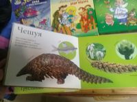 Лот: 13985071. Фото: 5. Книги детские . 12 книг одним...