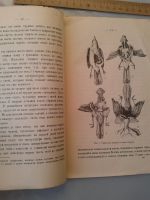 Лот: 15788692. Фото: 3. Инструкция для собирания птиц... Литература, книги