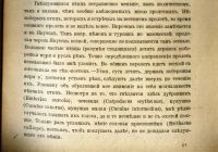 Лот: 21020922. Фото: 16. Материалы к биологии глухаря...