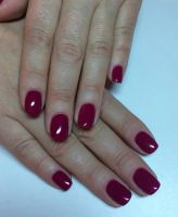 Лот: 8547342. Фото: 6. Shellac